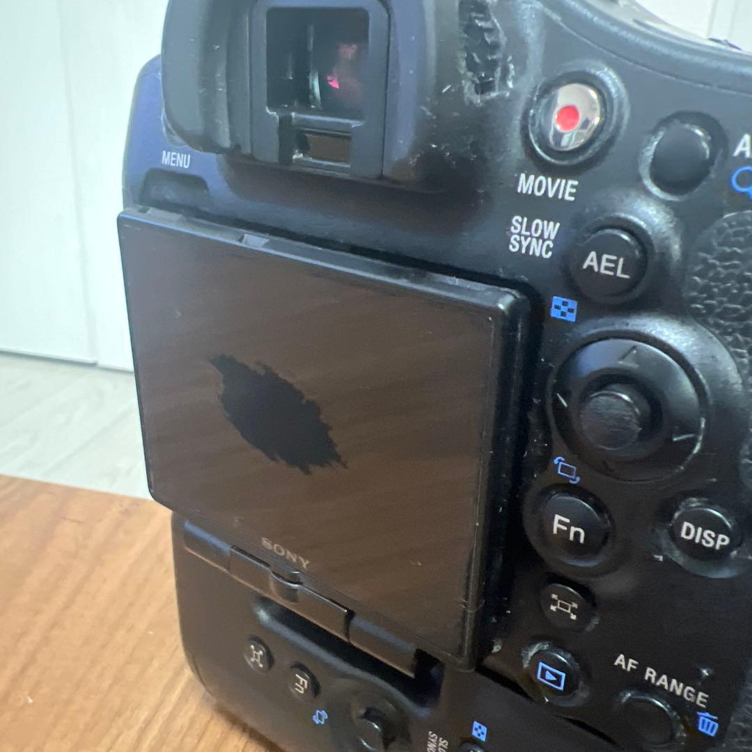 SONYα99/純正グリップVG-C99A付です。