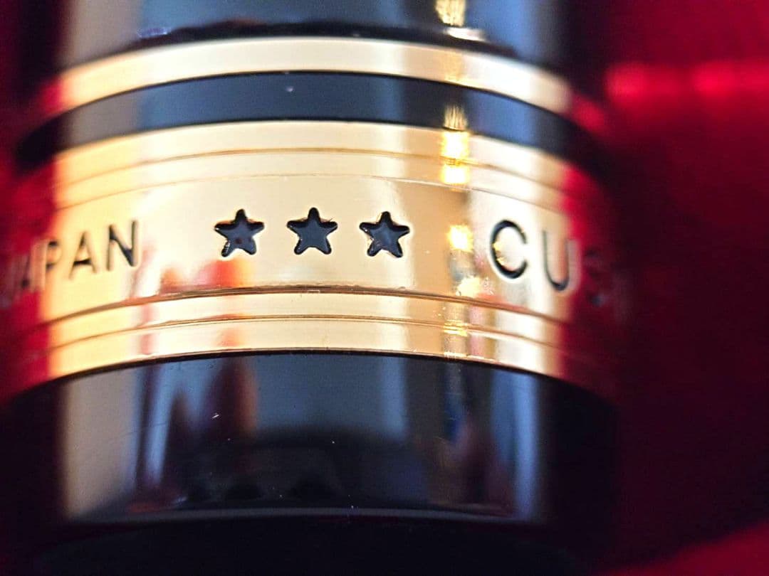 専用です　エボナイト万年筆　漆塗り　PILOTカスタム845