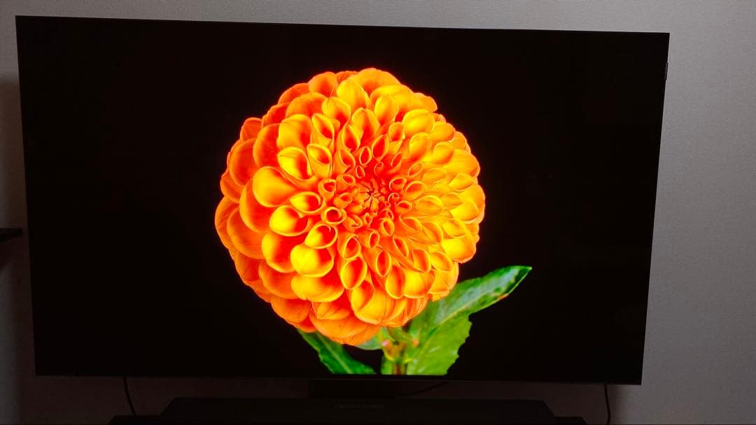 2024年最上位モデル　TCL C855 65インチ