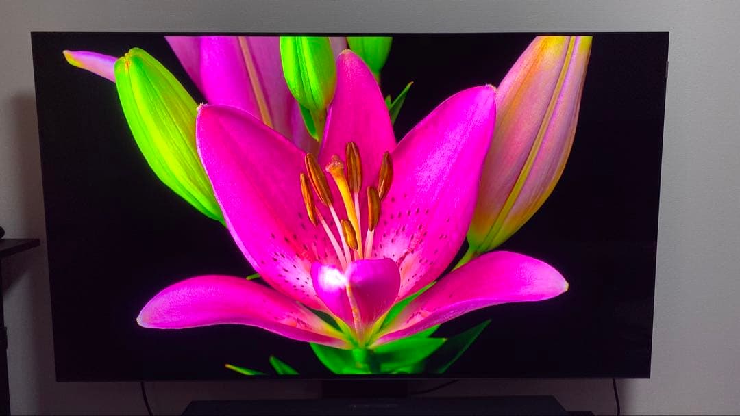 2024年最上位モデル　TCL C855 65インチ