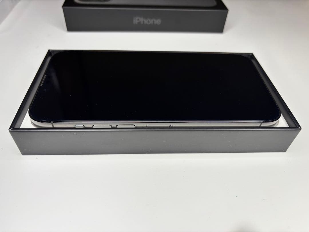 Apple iPhone 13 Pro グラファイト