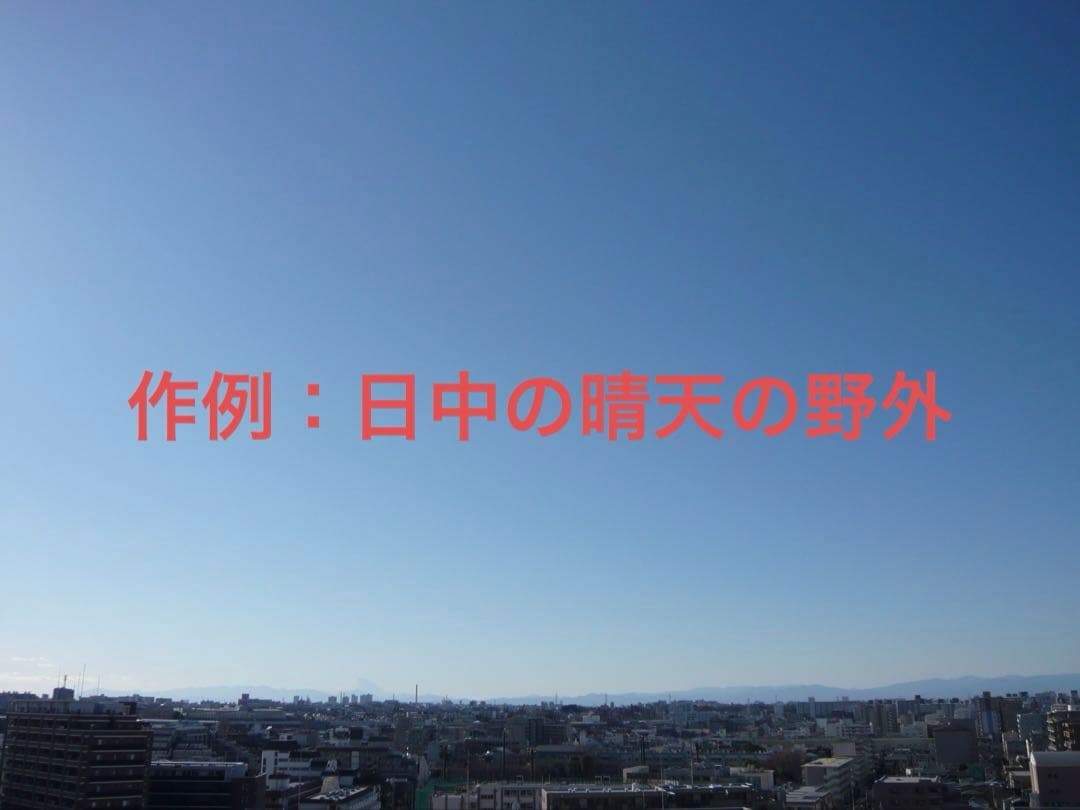 極上品【動作品】Panasonic パナソニック LUMIX DMC-FX55