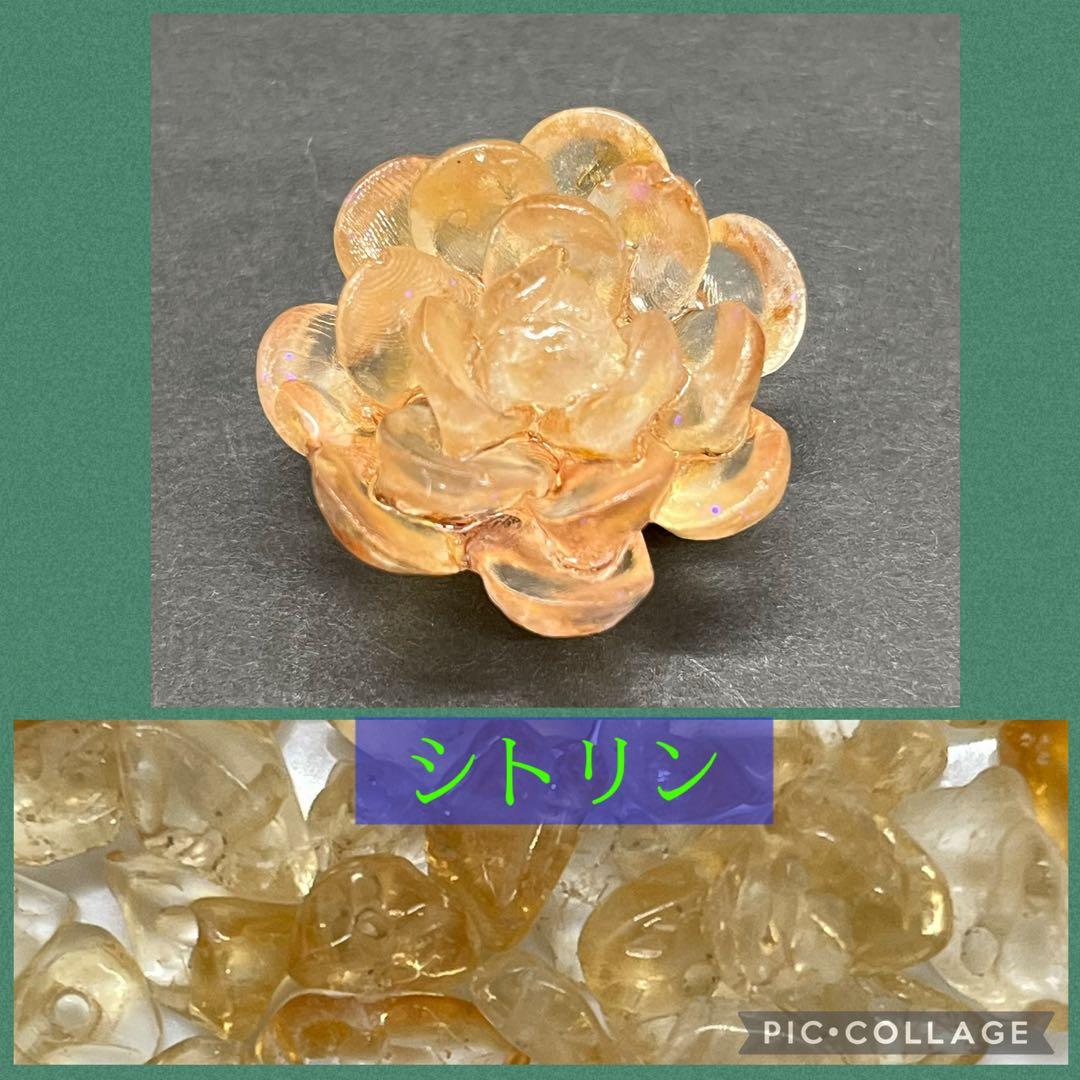 つねりん 多肉植物のオルゴナイト全10点セット