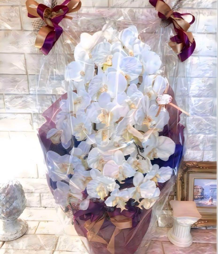 光触媒　人工観葉植物　ウォールグリーン　フェイクグリーン　胡蝶蘭754545@