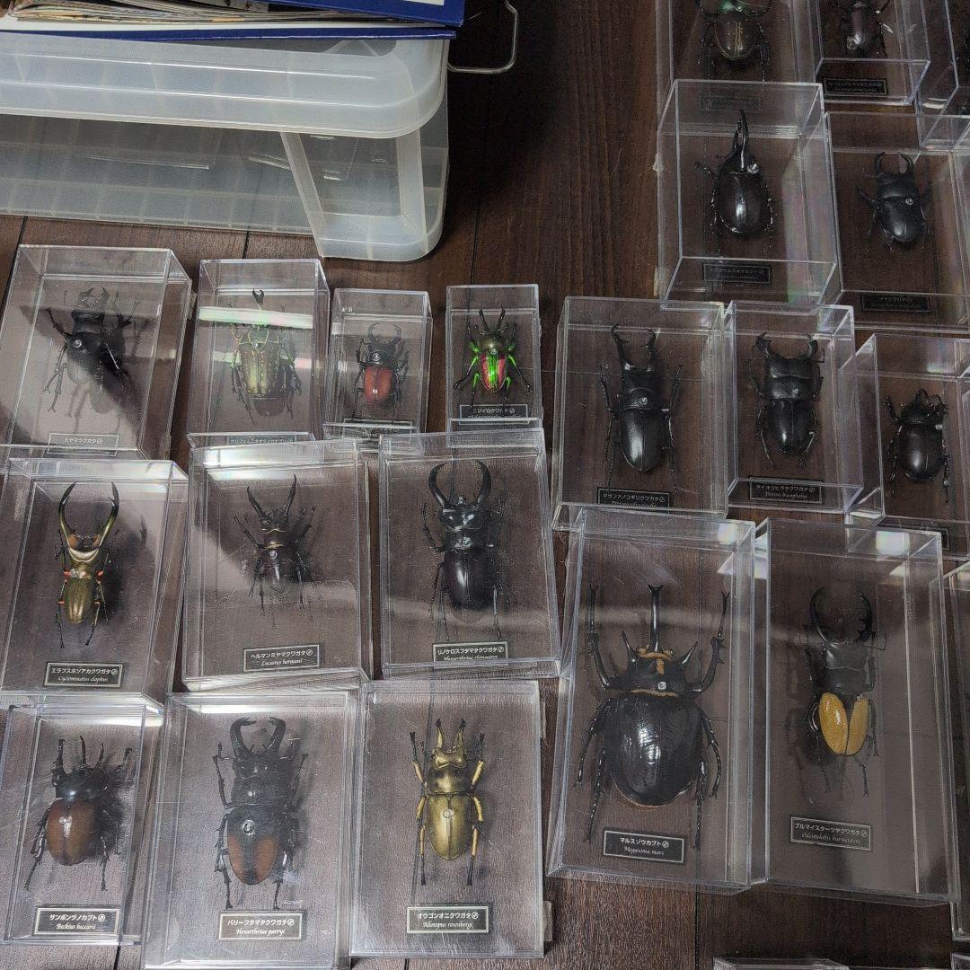 53体！！ディアゴスティーニ　世界の昆虫　データブック4冊