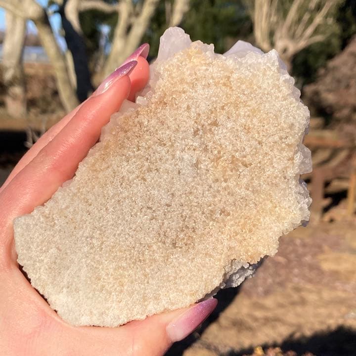 ドリームシクルレムリアンシード クラスター