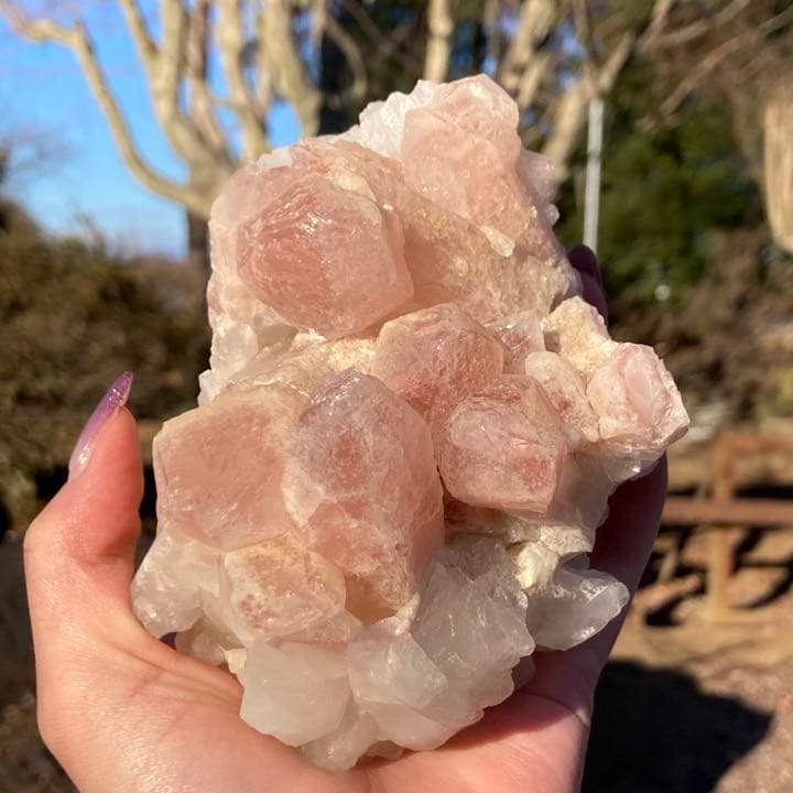 ドリームシクルレムリアンシード クラスター