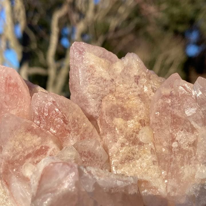 ドリームシクルレムリアンシード クラスター