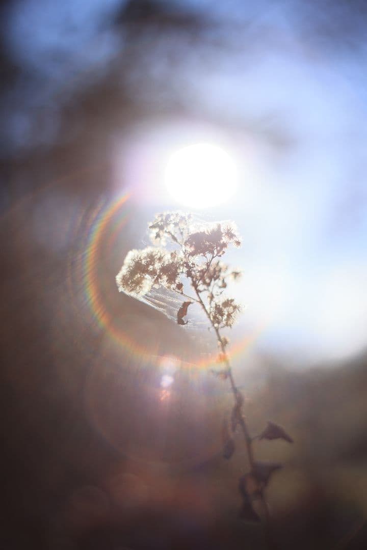 Super-Takumar 55mm F1.8 前期型 S/N：1138358