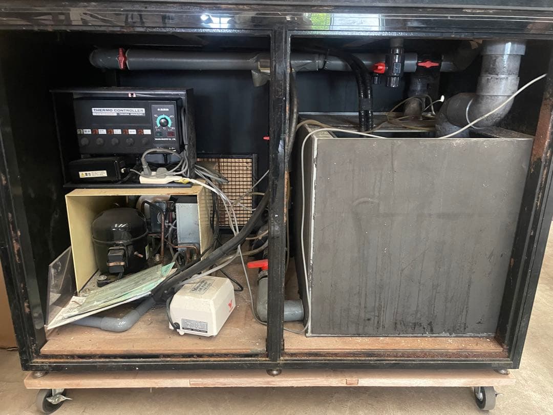 お寿司屋さんにある海水入れ