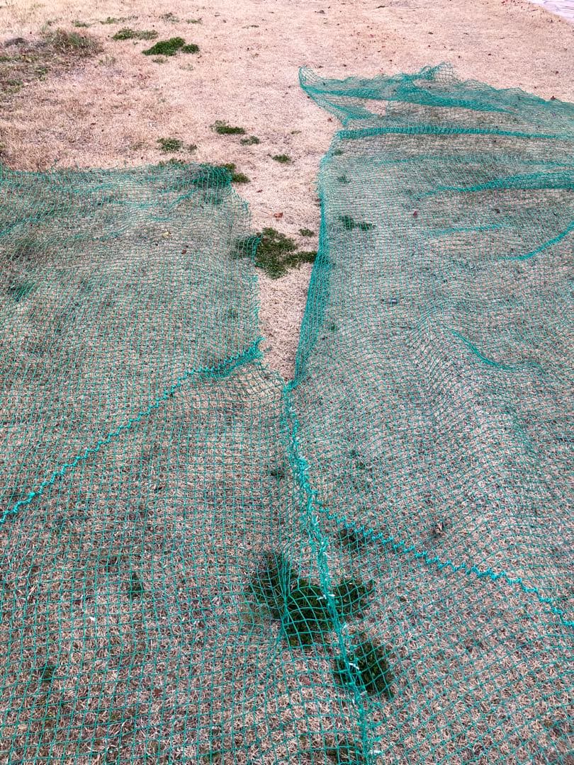 防球ネット 緑色 ナイロン製　ジャンク