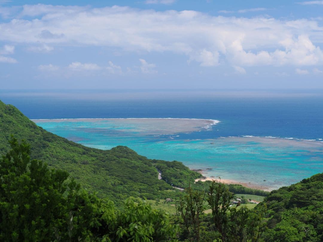 超極上美品 M.ZUIKO ED 40-150mm F2.8 PRO Olymp