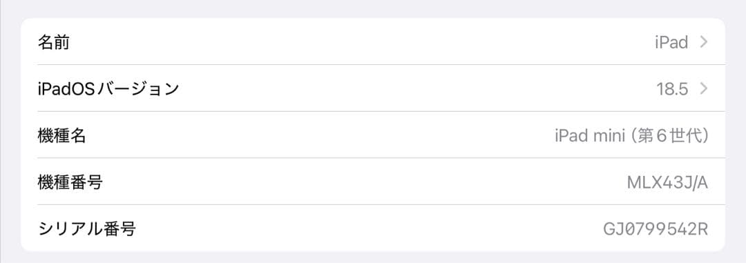 iPad mini 6 64GB Wi-Fi + Cellular SIMフリー