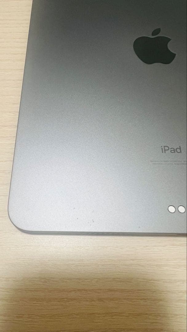 専用出品　Apple iPad Pro (11インチ) 第3世代 128GB