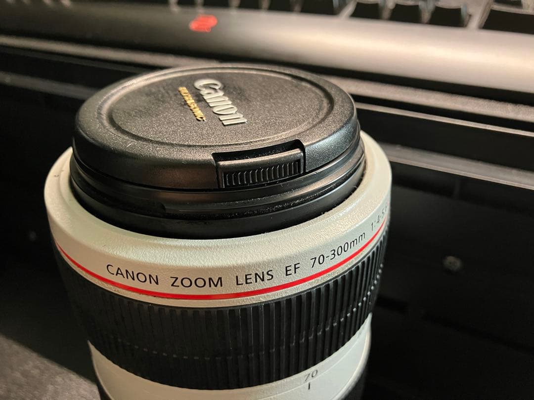 【特売】Canon EF 70-300mm F4-5.6 L IS USM