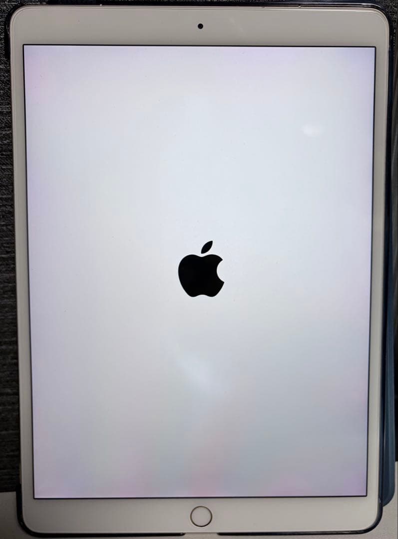 iPad Pro (10.5インチ) wi-fi+cellularモデル