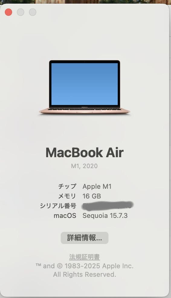 MacBook Air M1 GOLD メモリ16GB SSD256GB