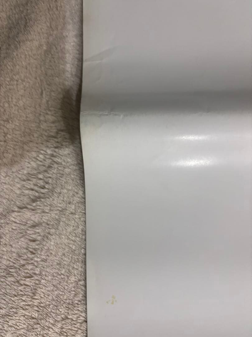 希少B2判映画ポスター　GHOST IN THE SHELL 攻殻機動隊