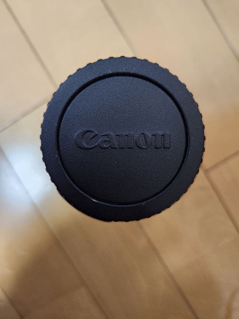 EF-S 55-250/4-5.6 IS STM　canon ズームレンズ