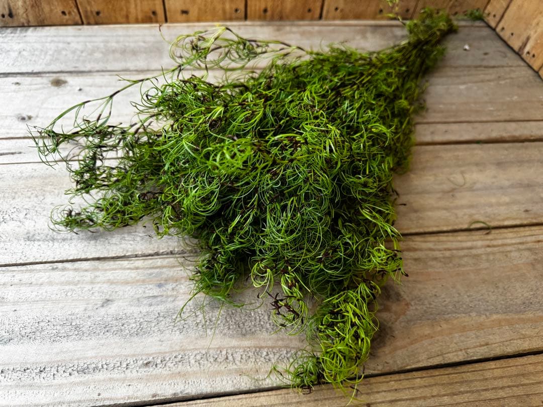 riisi様 リクエスト 4点 まとめ商品