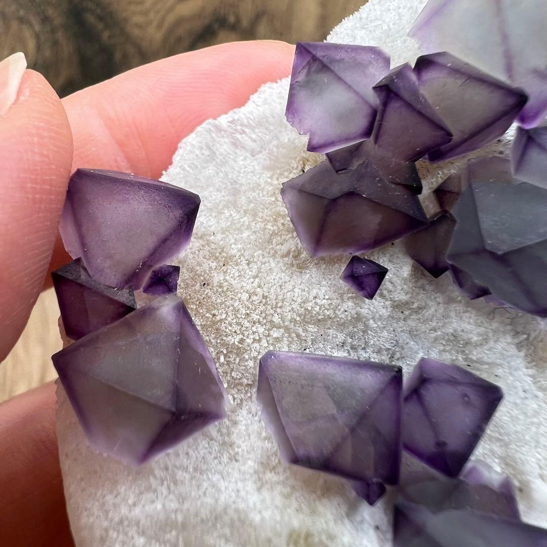 フローライト 八面体 水晶 共生 鉱物 標本 原石