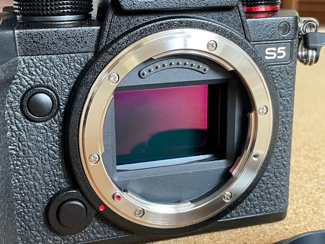 LUMIX S5 ミラーレス一眼 28-200mmレンズ付き