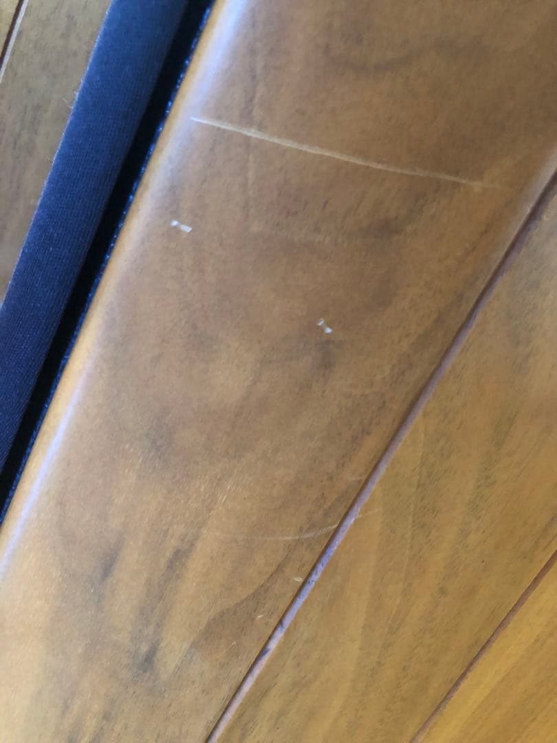 ソナスファベール Sonus Faber Minima FM2(改造品)