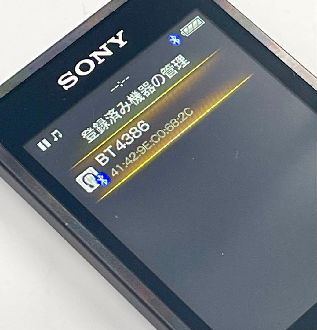 バッテリー良好　外観極美品　SONY WALKMAN NW-A16 32GB