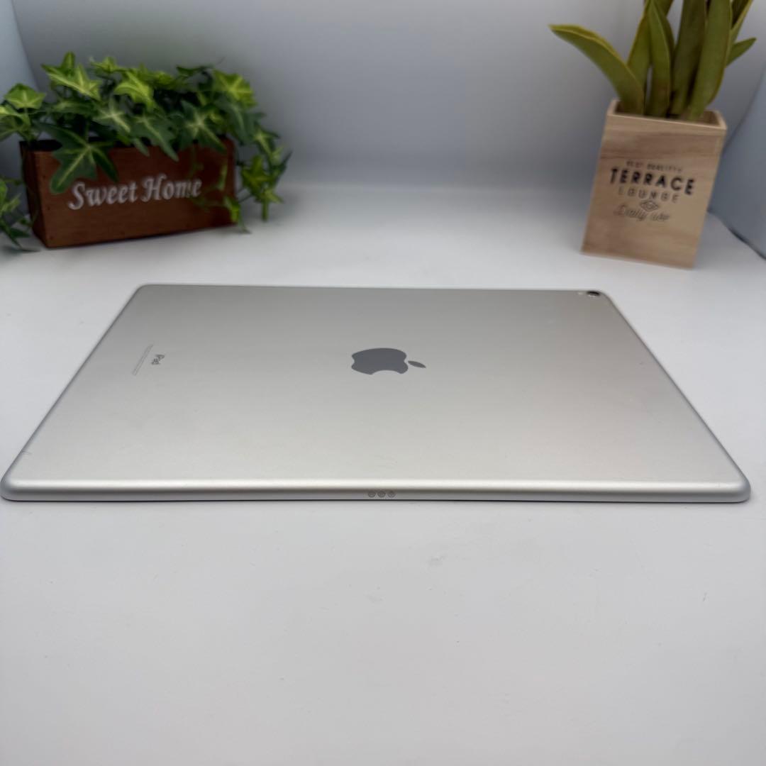 iPad Pro 第2世代 12.9inch Wi-fi 64G BT 100%