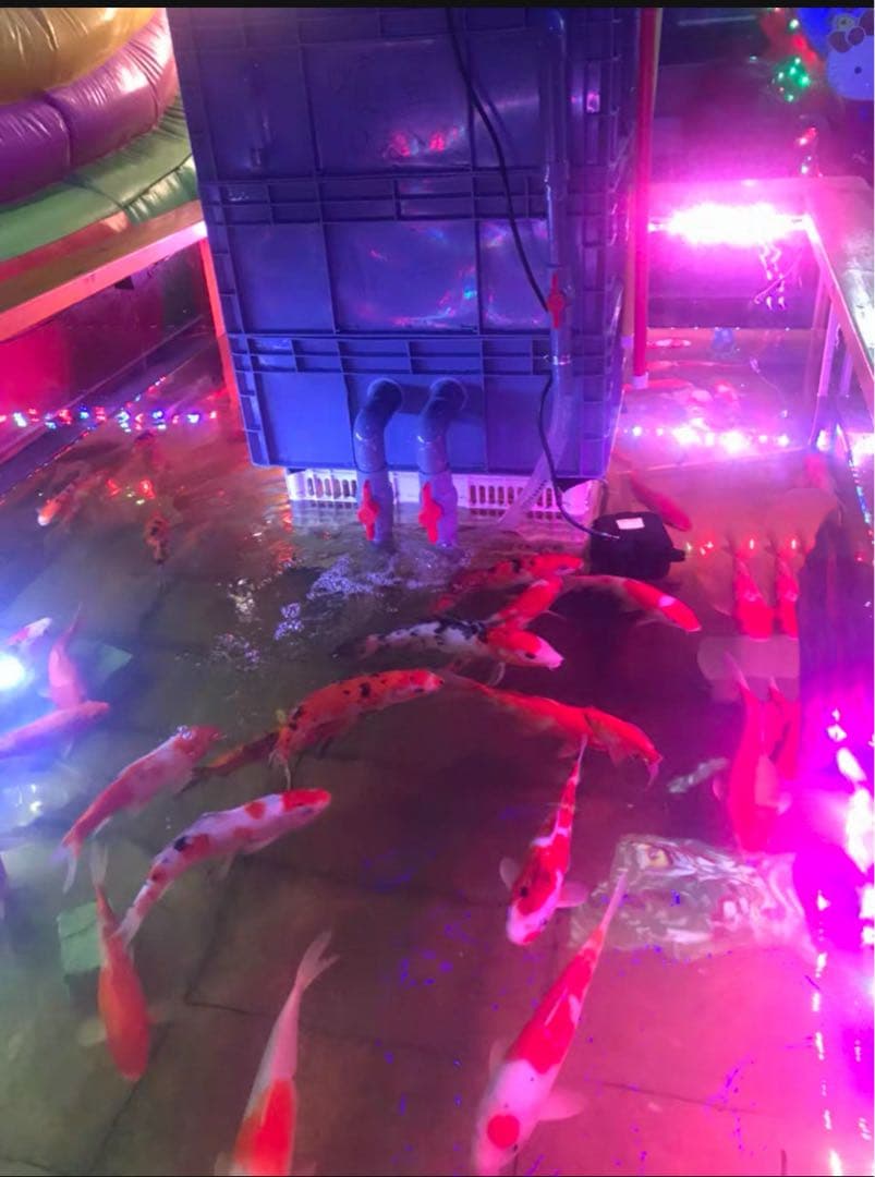 大型水槽池用万能フィルター 3段外部式飼育生物濾過装置