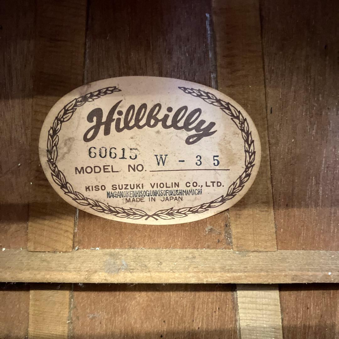 ジャンク品 ヒルビリー Hellbilly W-35 アコースティックギター