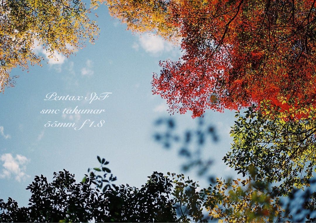 超美品＊完動品★pentax spf／ f1.8★初期保証＊作例必見＊絶好調！