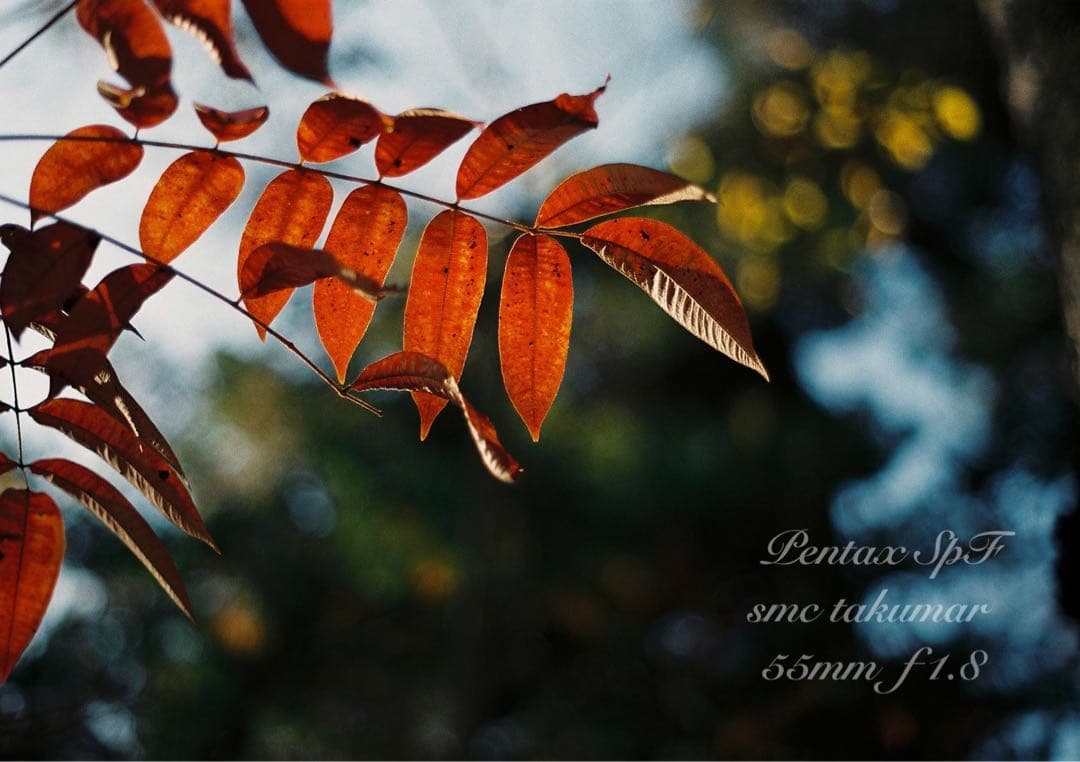 超美品＊完動品★pentax spf／ f1.8★初期保証＊作例必見＊絶好調！