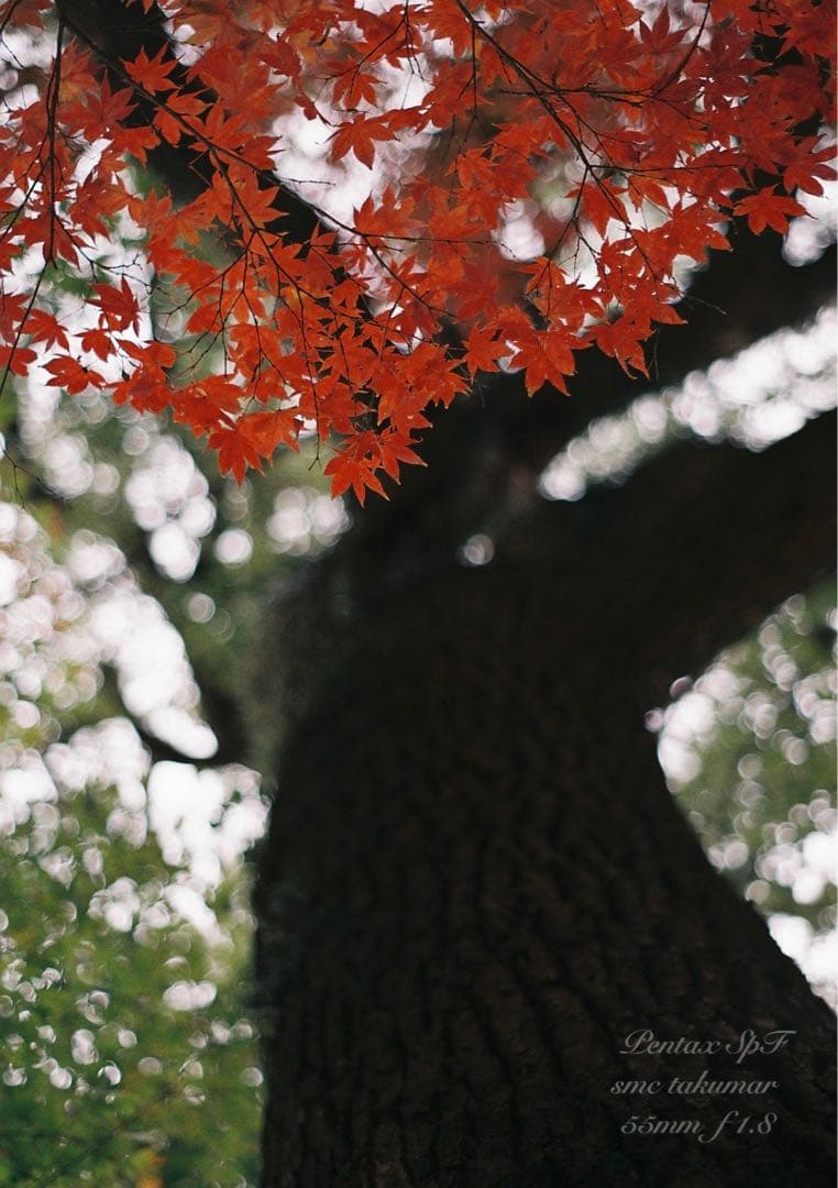 超美品＊完動品★pentax spf／ f1.8★初期保証＊作例必見＊絶好調！