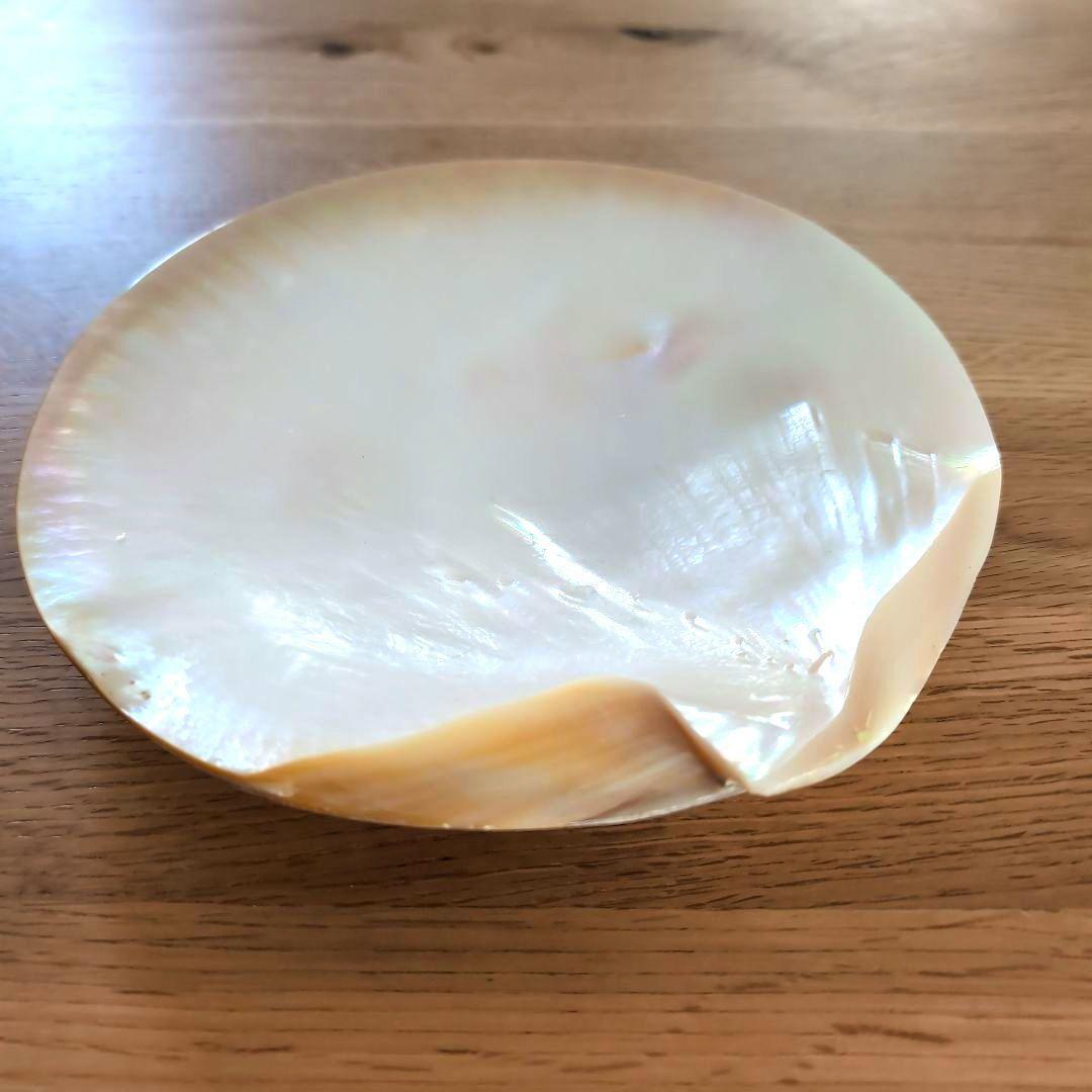 白蝶貝 貝殻製 丸型プレート 8枚セット