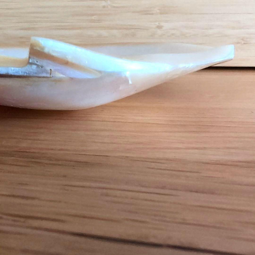 白蝶貝 貝殻製 丸型プレート 8枚セット