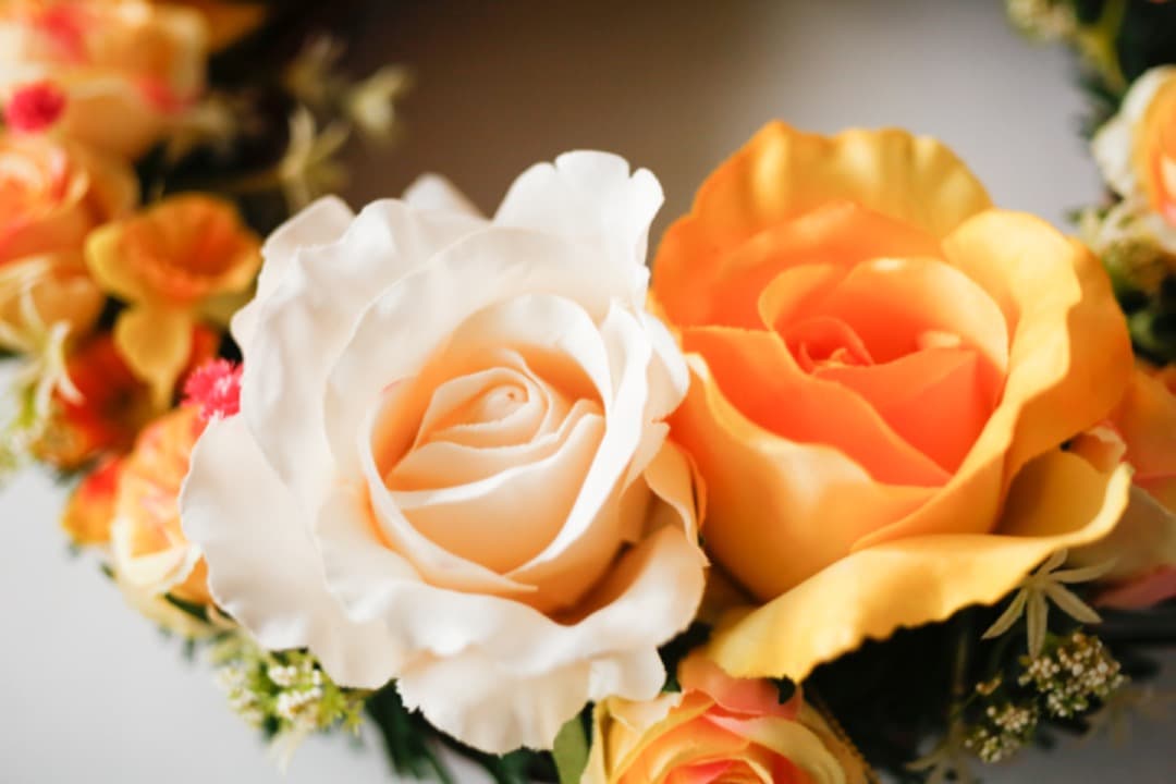 レンズ(単焦点) CARL ZEISS JENA TESSAR 50mm f2.8 / M42