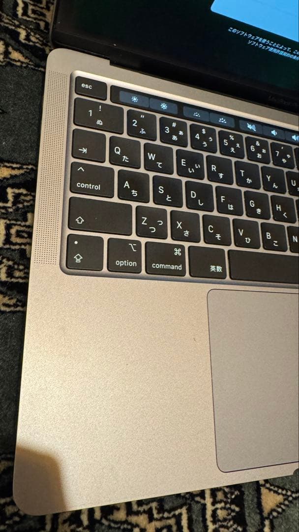 MacBook本体 MacBook Pro 13 inch M1 1TB 16GB