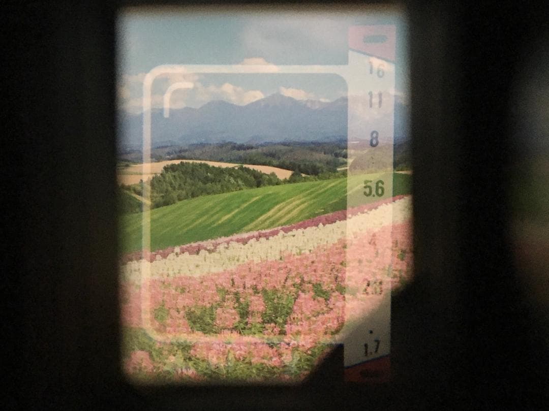 【整備済　美品】ブルー Canon Demi EE17　ハーフカメラ　露出計OK