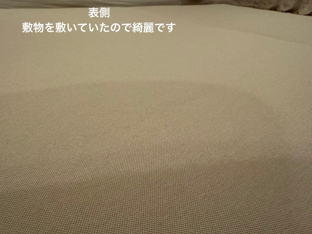 老犬用ペットケアマットNEO Lサイズ