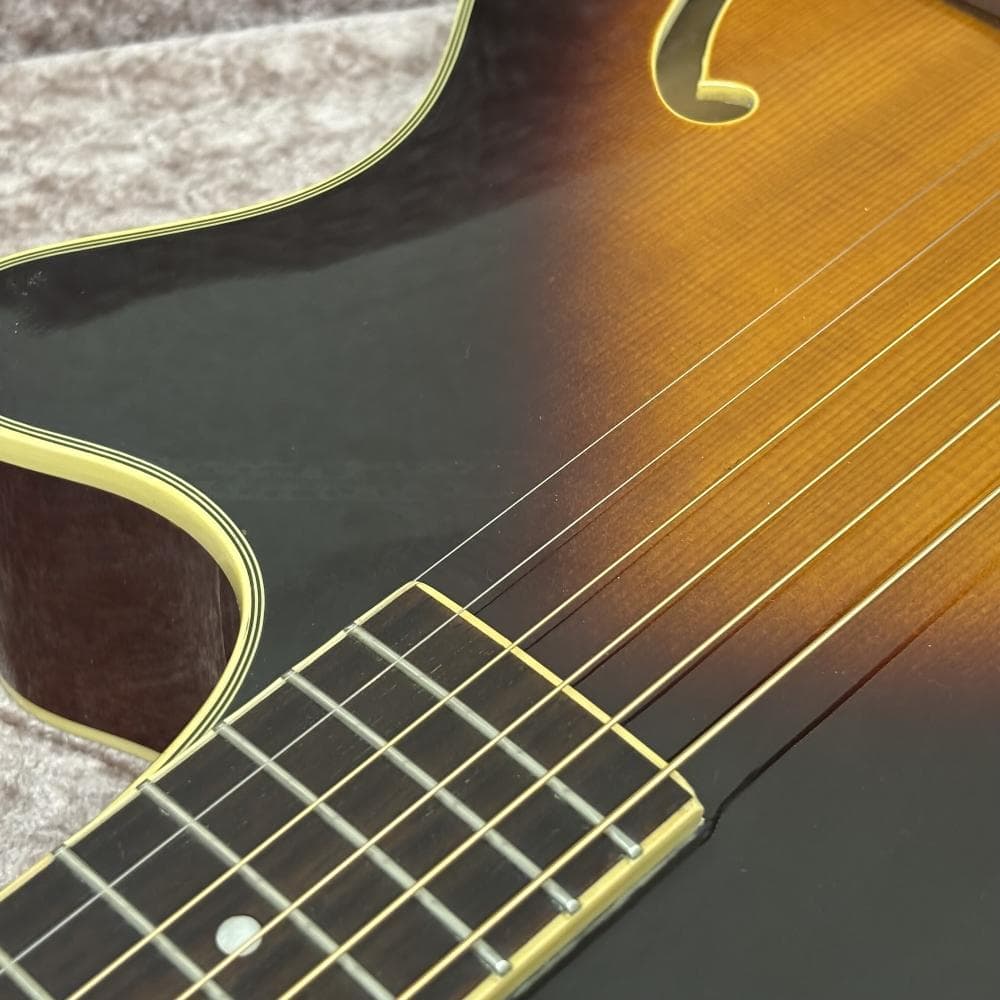 希少 ジュノ JUNO EA-50FC/TBS エレアコ アコースティックギター