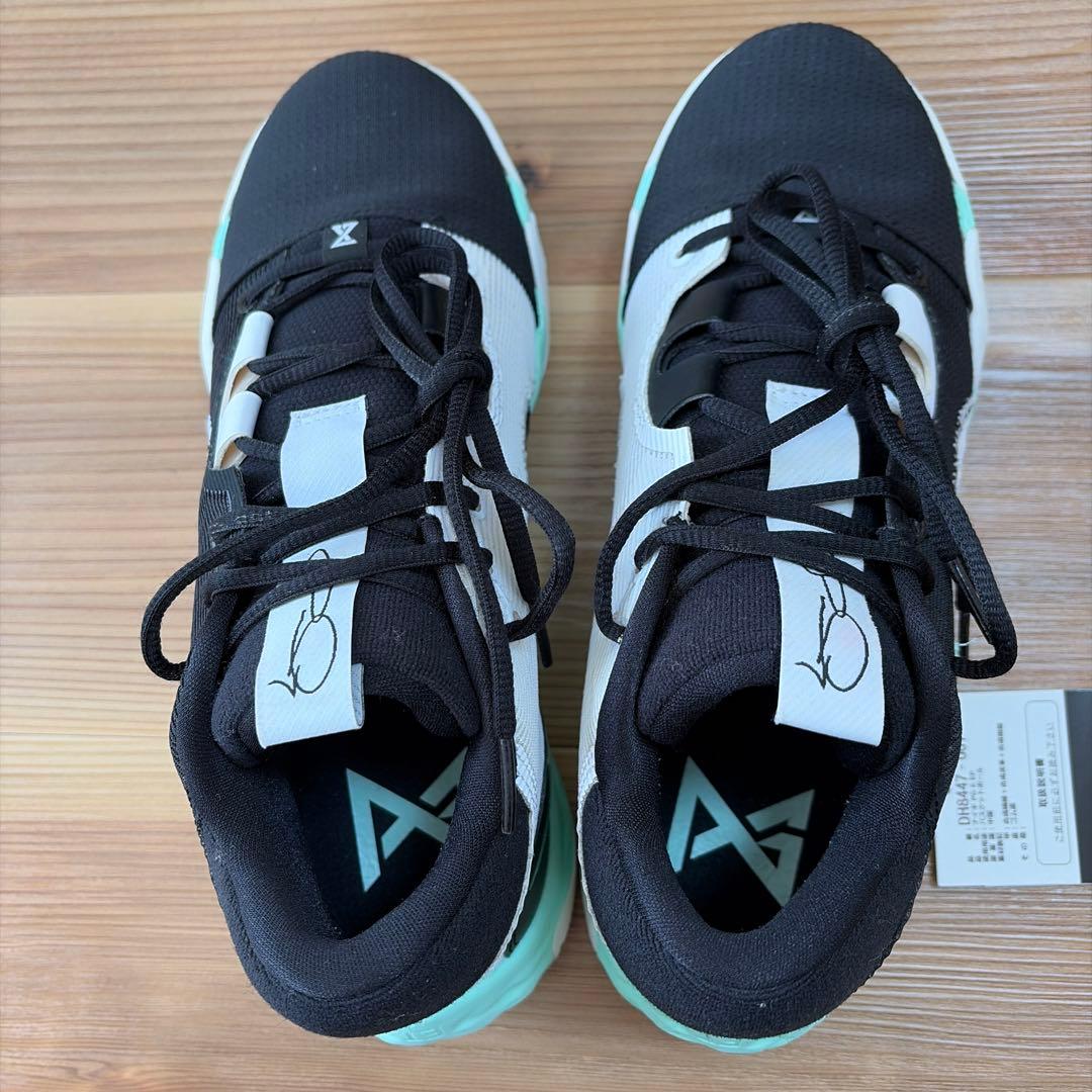 シューズ(男性用) NIKE pg6 26cm