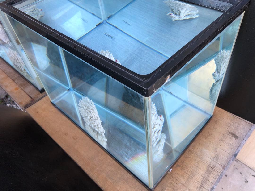 か*ん様 水槽45×30×H36cm 2本