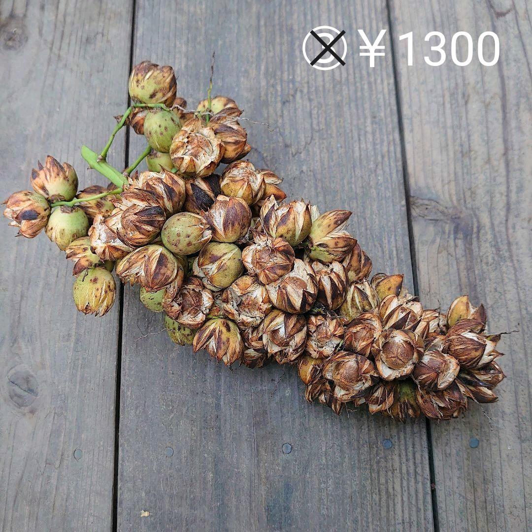 専用☆確認ページ