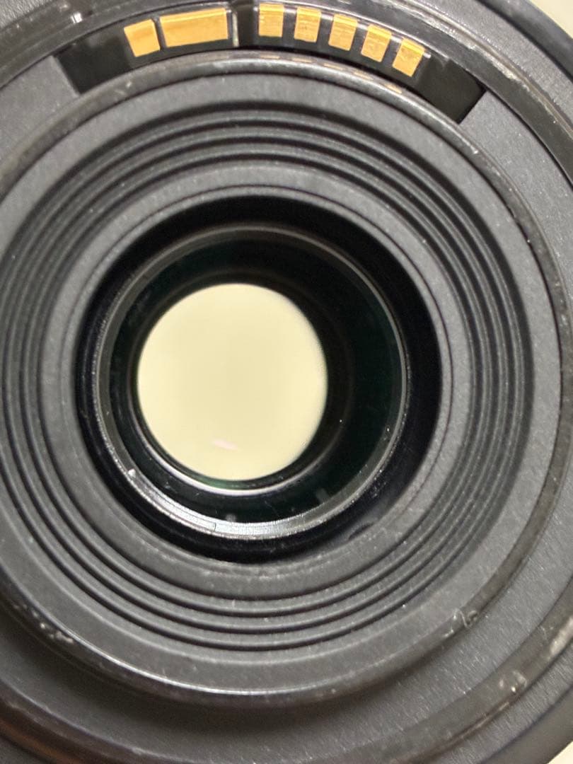 ⭐️外観美品⭐️キャノン Canon EF-S 55-250mm STM レンズ