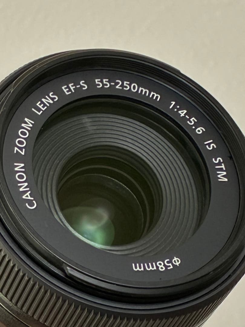 ⭐️外観美品⭐️キャノン Canon EF-S 55-250mm STM レンズ