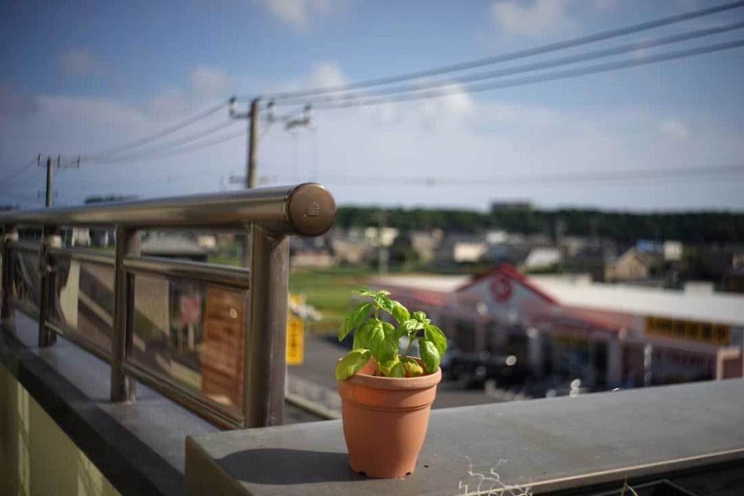 46　美品　ロモ　LOMO スメナ8 40mm F4.0 アダプター付 L39