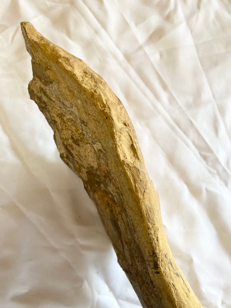 ブラジル産　魚の化石　重さ6.1kg 長さ64.2cm 幅17.5cm ③