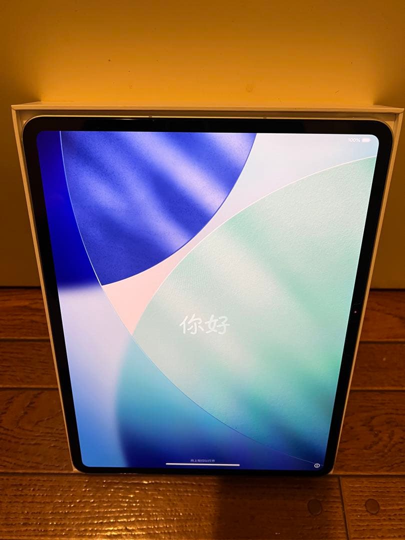 iPad pro M4 美品！　人気の13インチ 送料無料！
