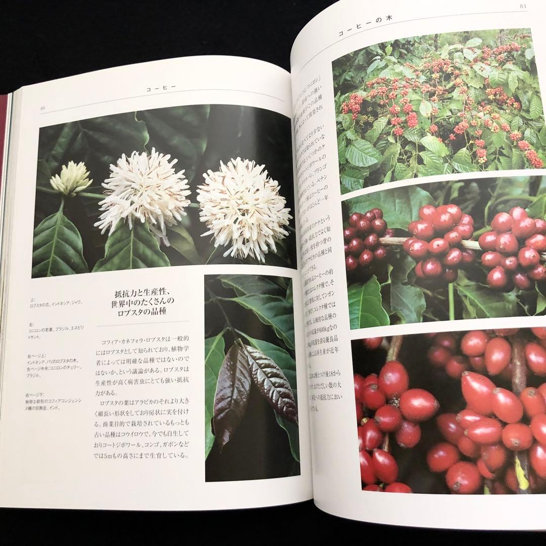コーヒー専門書「Coffee : 多様性の祝祭」日本スペシャリティコーヒー協会